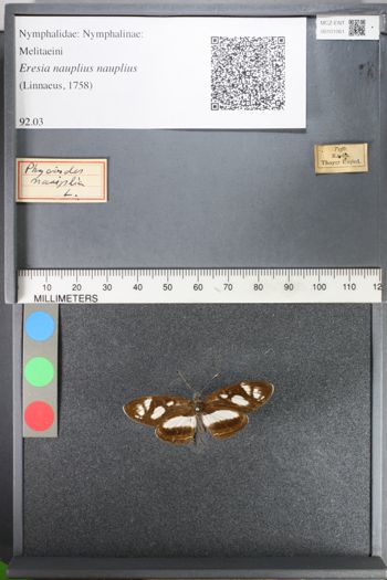 Media type: image;   Entomology 101061